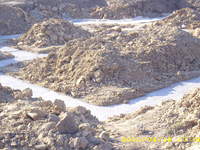 Fundamenty zalane, trochę odczekamy i dalej do dzieła.