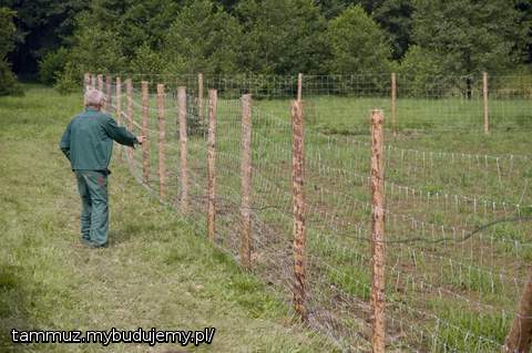  siatka - pierwsza przymiarka
