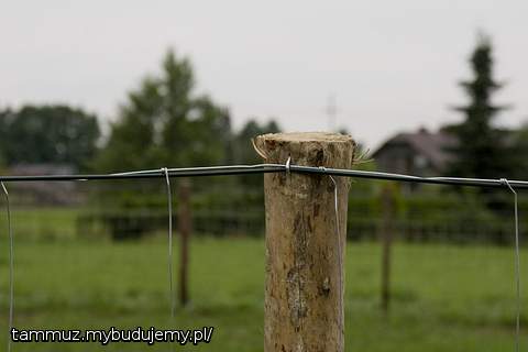  mały zakrzywiony bohater akcji - skobel