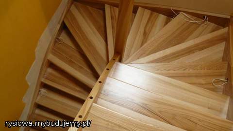 w całej okazałości