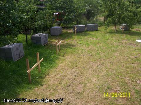 ławice już też wytyczone