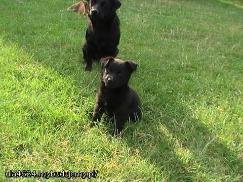 A TO NASZA MAŁA POCIESZKA!!!