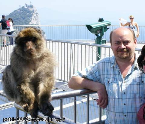 w ubiegłym tygodniu odskok tylko na weekend od rzeczywistości