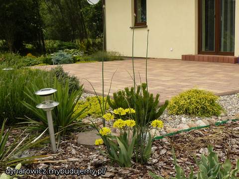 Taras - widok ogólny.