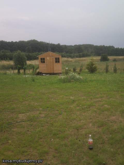 rozne odmiany iglakow etc