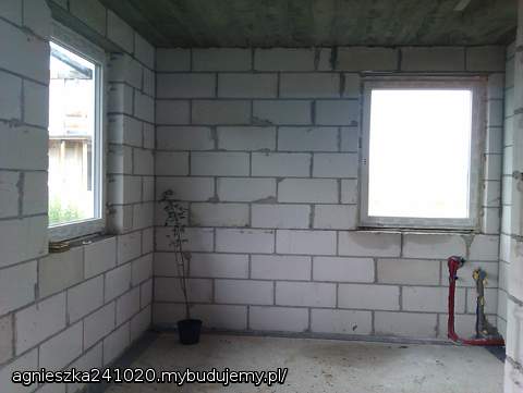 kuchnia ;D i drzewko na szczęście ;D