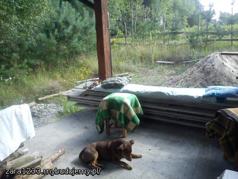 Sjesta mojego piesia