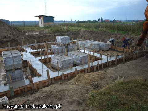 DZIEŃ 4 JAK WIDAĆ GRUSZKI DOJECHAŁY