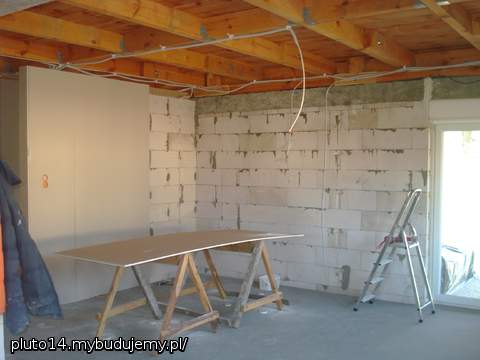 Salon - pierwsze płyty