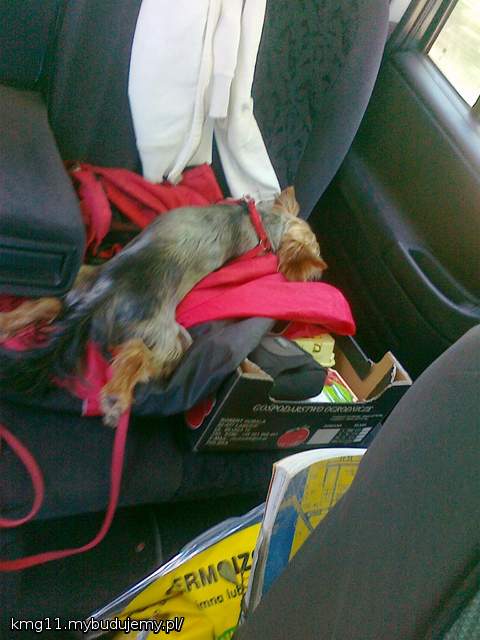 wracamy z budowy....:)