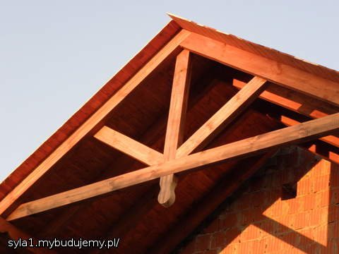 pajączek na szczytach