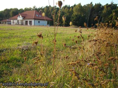 kawałek własnego lądu..
