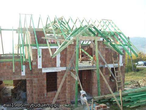 prawa strona bliźniaka