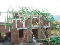 prawa strona bliźniaka