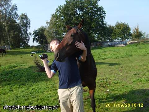 jedna z ruchomych ozdob