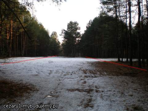 ...idziemy dalej do końca działki...