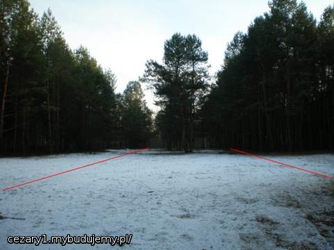 jeszcze kawałek polany pod dom i idziemy dalej