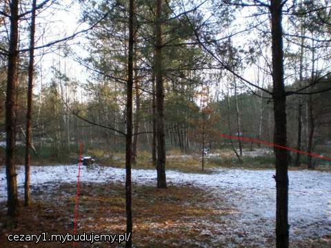 zbliżamy się do obniżenia terenu, można by rzec, bagienka, woda podsiąka już na głębokości dwóch szpadli, ale co ciekawe i najważniejsze z przodu działki, na polanie, gdzie stanie dom poziom wód gruntowych zaczyna się od 1,7-1,8m na szczęście, robiłem badanie geotechniczne na wszelki wypadek; poza i tak myślę robić płytę fundamentową, więc nie obawiam się specjalnie wód gruntowych