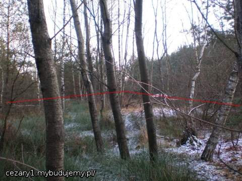 zmierzamy ku końcowi działki