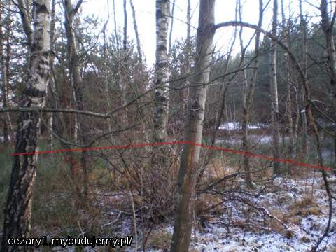 prawie koniec działki