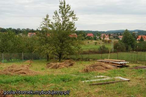 działeczka od strony północnej