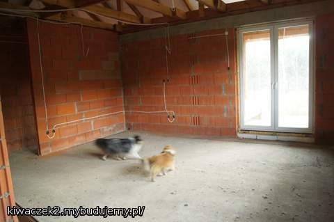 Widok salonu z kuchni