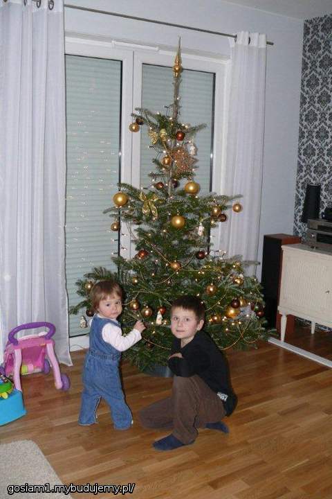 Przygotowania do pierwszych w nowym domu Świąt Bożego Narodzenia :) - 22-12-2011