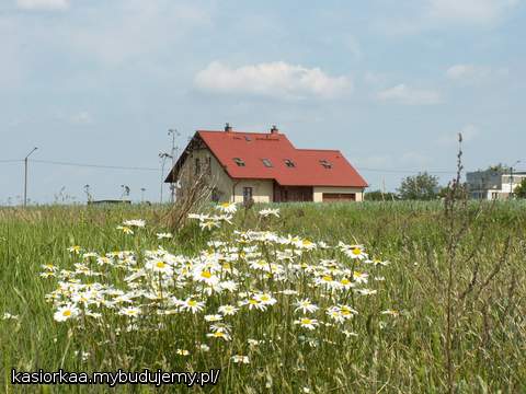 widok z lata