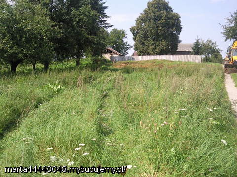 to nasza działeczka