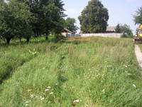 to nasza działeczka