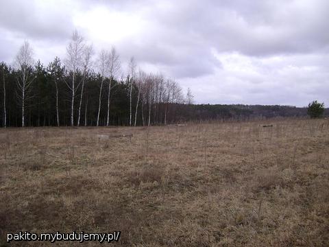 Zdjęcie naszej działki.  W kwietniu powinna wejść ekipa. 
A tym czasem 