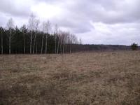 Zdjęcie naszej działki.  W kwietniu powinna wejść ekipa. 
A tym czasem 