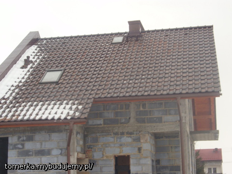 Daszek-widok z tyłu