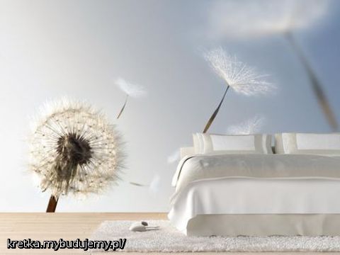 dmuchawce latawce....