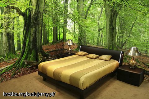 sypialnia w środku lasu....