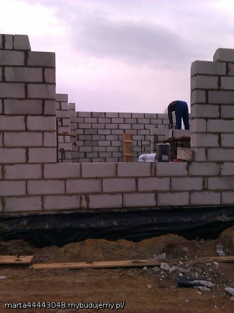 wykusz...a raczej jego brak