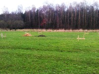 Wykopalem dziurę, żeby sprawdzić jak płytko jest woda, no i była na 90 cm, pywnic nie robimy.