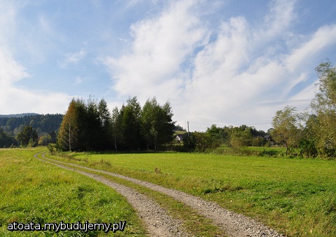 i na poludnie ... a na koncu nasz maly las