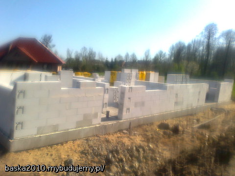 rosnąąąąąąąą