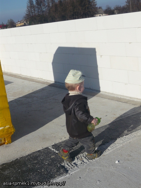 Ktoś musi ten dom wybudować! BOB THE BUILDER MEN! W wersji polskiej SĄSIEDZI!