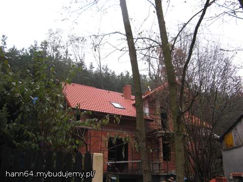 Trudno uchwycić całość. Ale zadrzewiona działka ma swój urok.