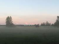 To będzie widok z mojego okna.