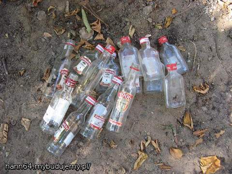 To równoległy efekt działania fachowców.