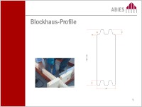 BLOCKHAUSPROFIL   KVH S10 C24