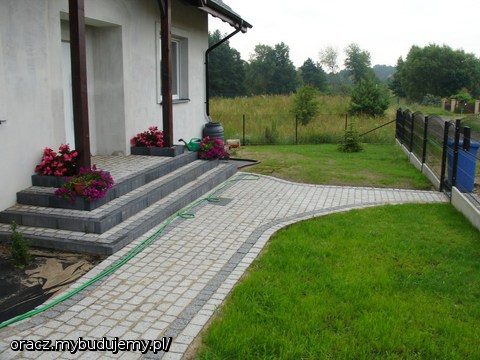 lipiec 2012: mozolnie wschodzi trawa
