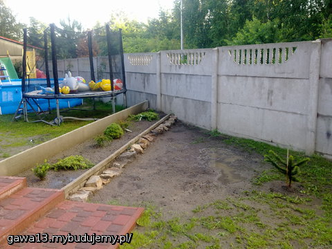 szopa zlikwidowana, zasadzone iglaczki i małpie drzewko