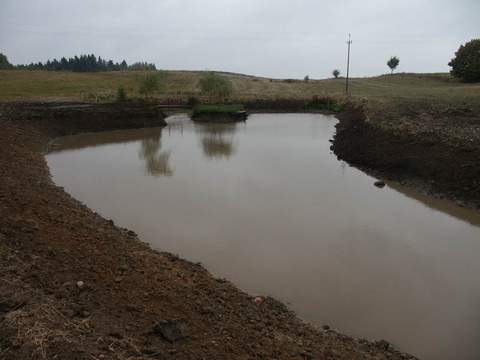 Śniegu dopadało sporo więc nie martwię się , że staw będzie bez wody.