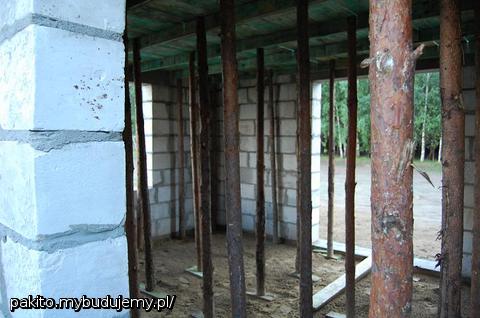 Las stempli w salonie a za 