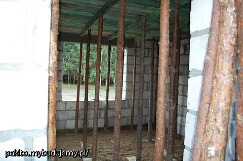 Drzewa wyrosły też w pokoju :)