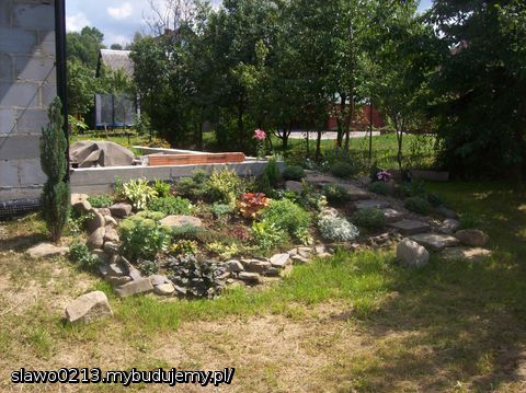 po malutko skalniak nabiera wyglądu